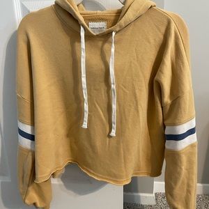American Eagle Fleece Crooped Boxy Hoodie